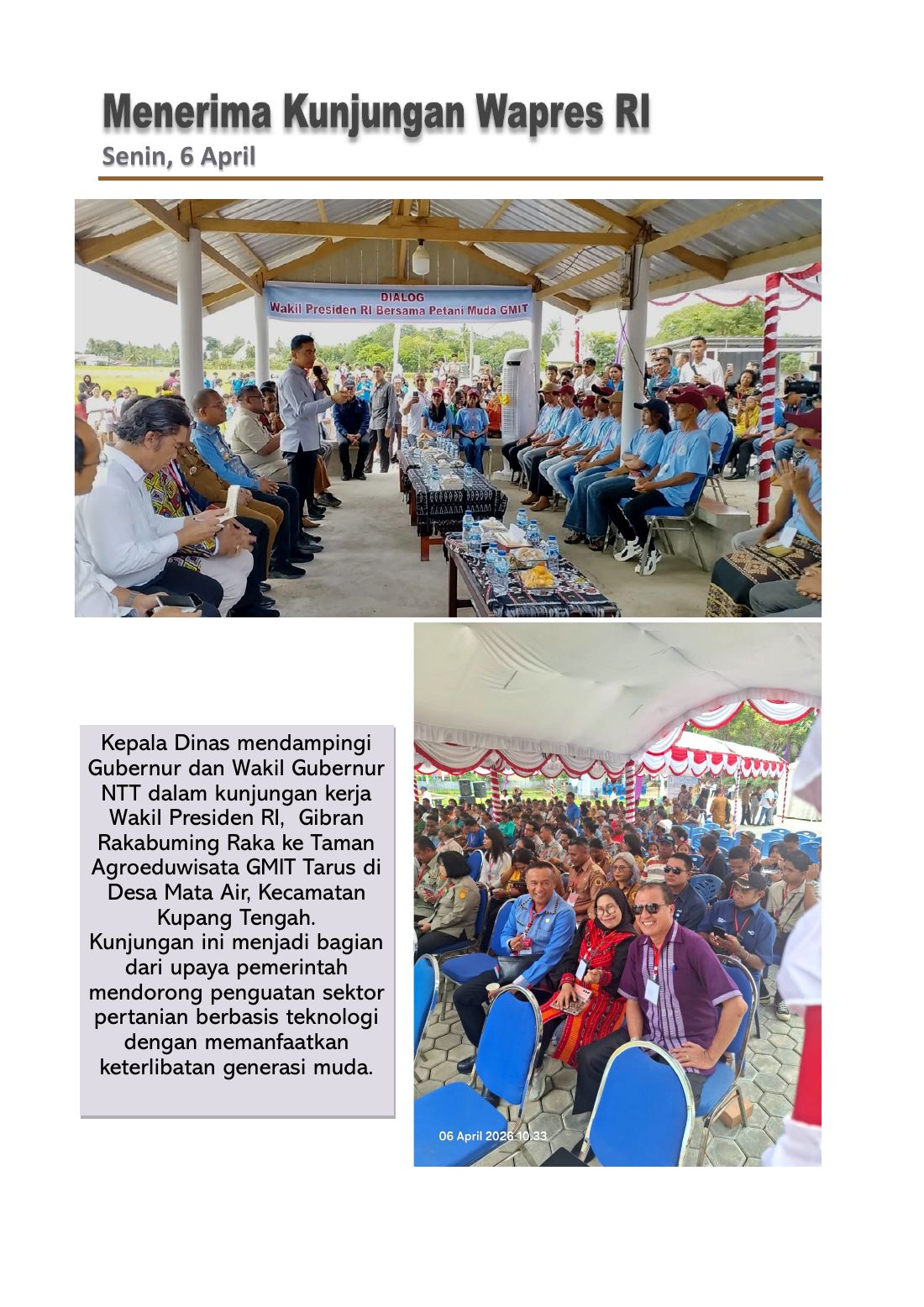 Halaman 4 dari 29